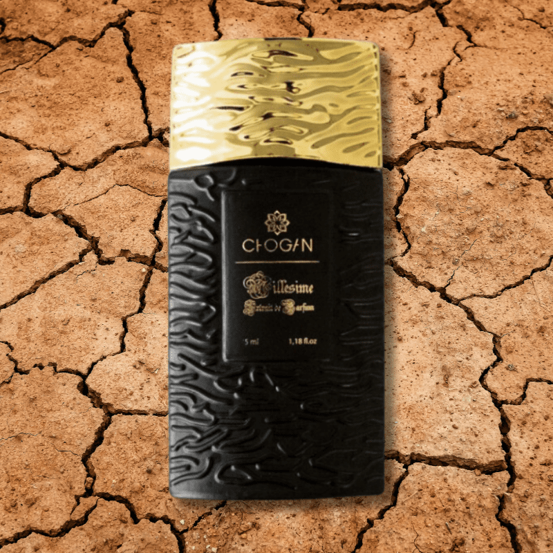 TERRE D'HERMES – Image 2